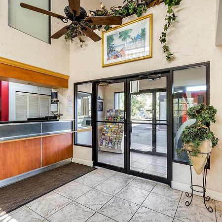 Econo Lodge Palm Harbor - Clearwater Eksteriør bilde