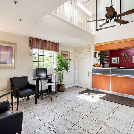 Econo Lodge Palm Harbor - Clearwater Eksteriør bilde