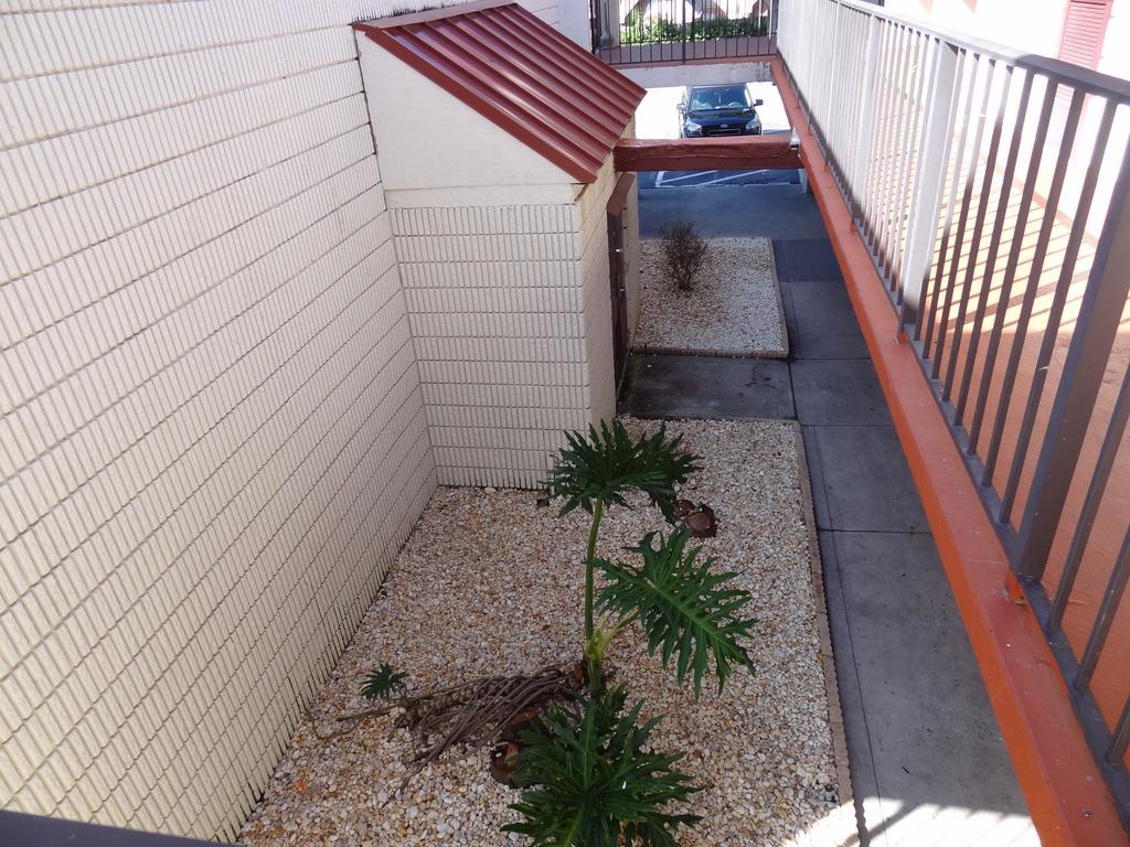 Econo Lodge Palm Harbor - Clearwater Eksteriør bilde